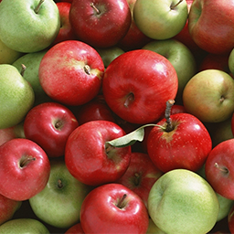 APPLES