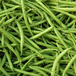 GREEN BEANS