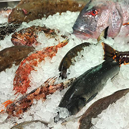 ICED FISH