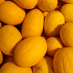 MELONS