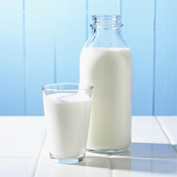 MILK