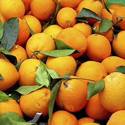 ORANGES