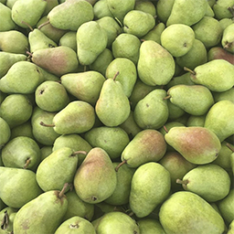 PEARS
