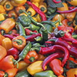 PEPPERS