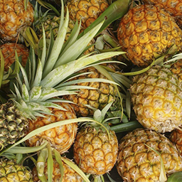 PINEAPPLES