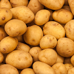 POTATO