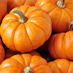 PUMPKINS