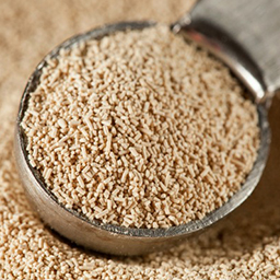 YEAST